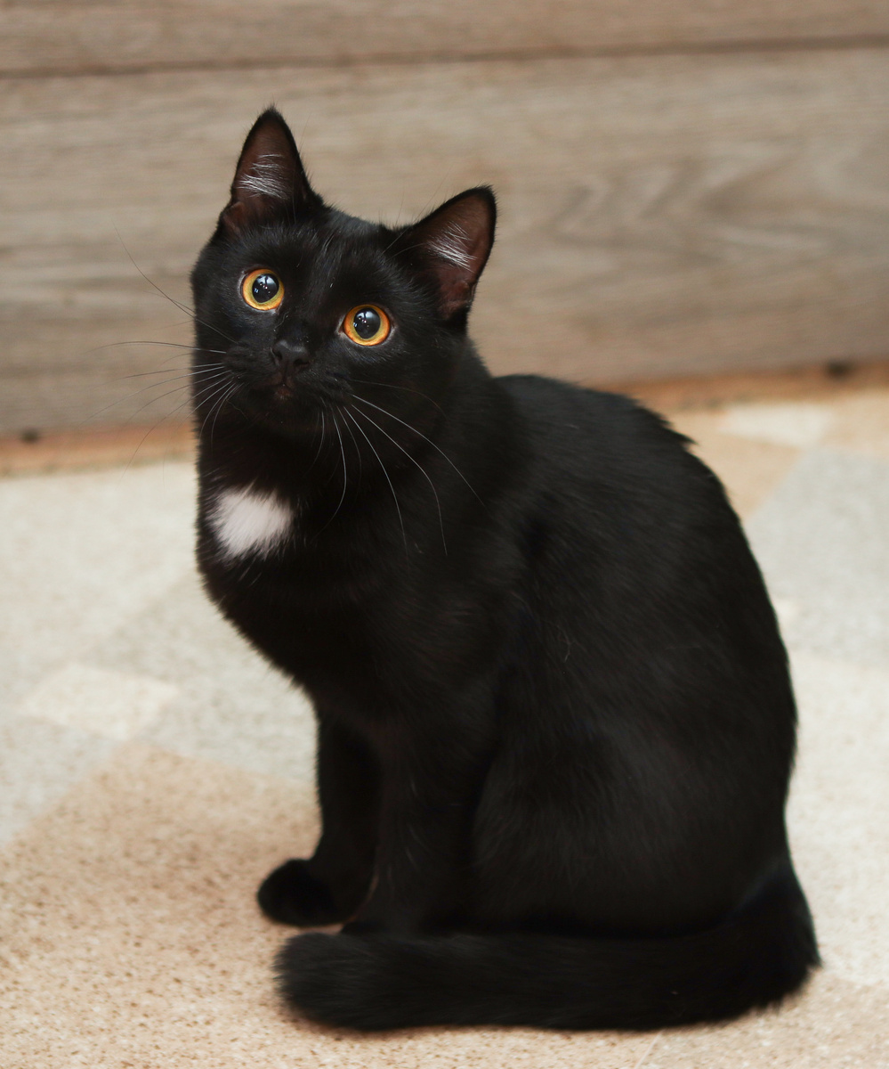 У вас там нет мозолей на пальчиках, столько лет про меня рассказывать?