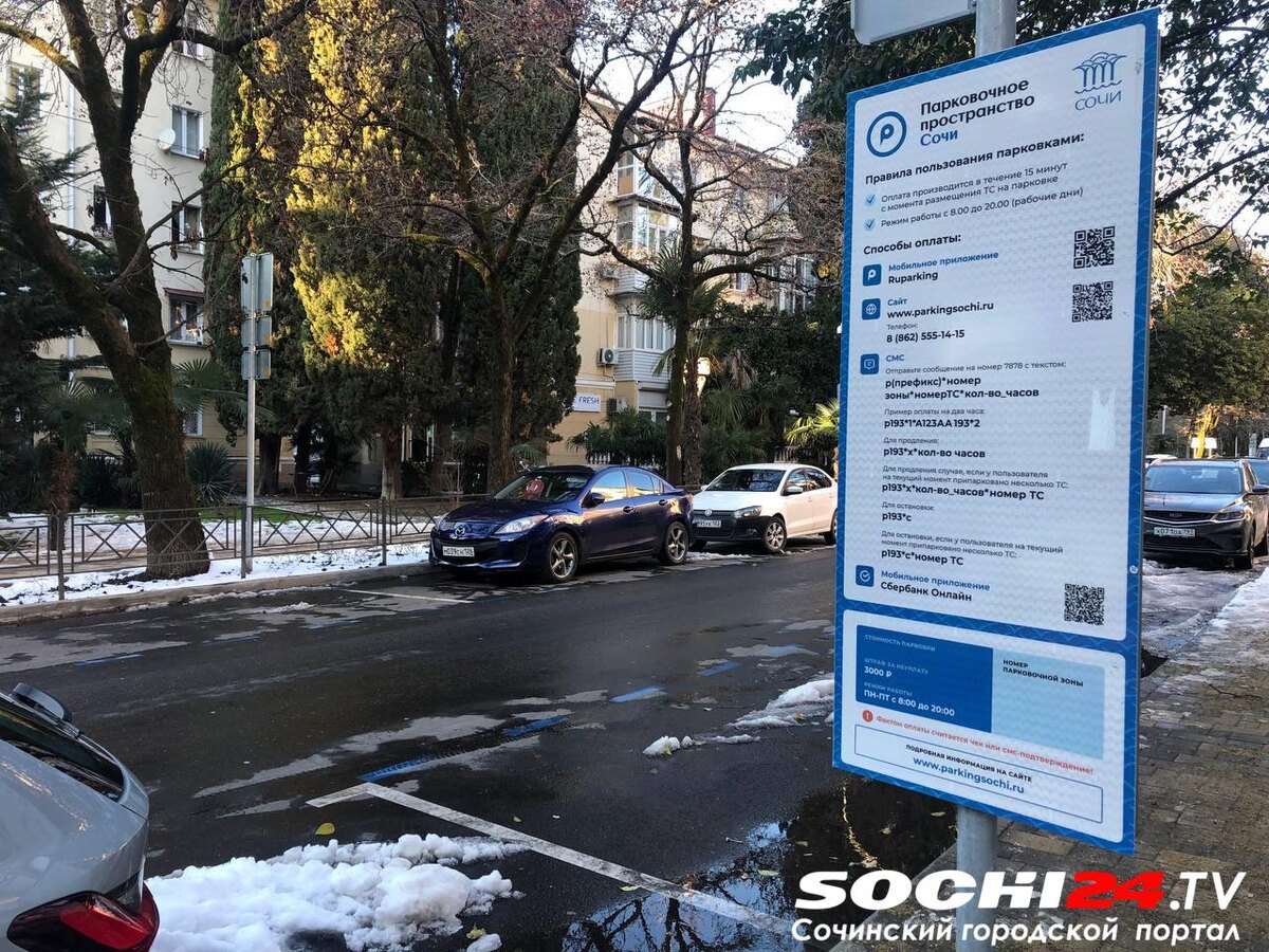    Фото: Сочи24 (Лидия Виленская)