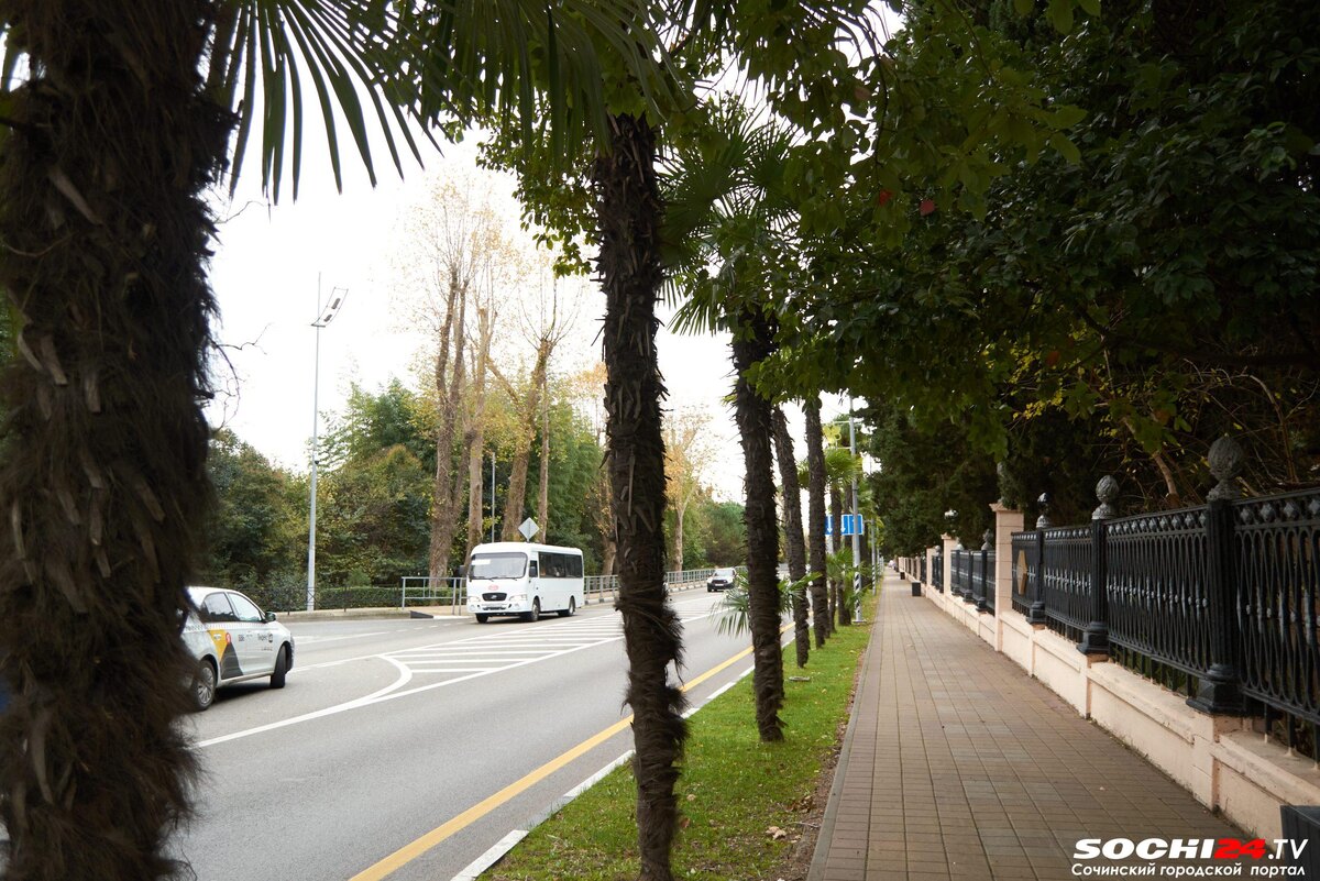    Фото: Сочи24