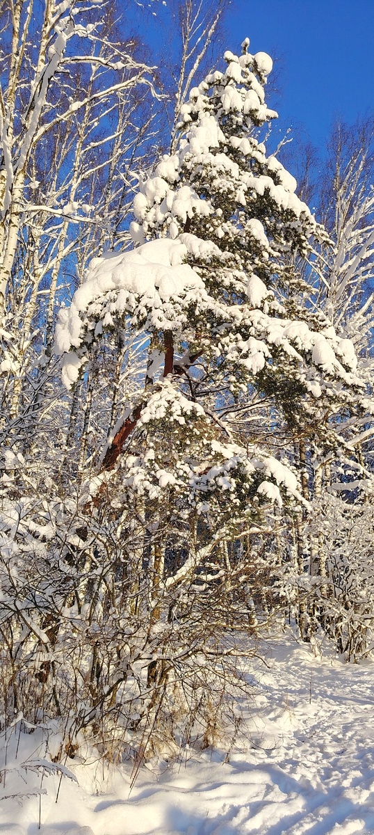 Как в сказке! 