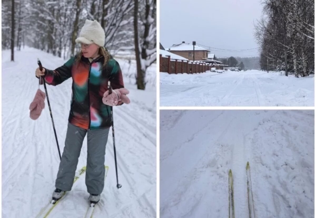    «Дышать лесом!»