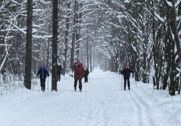    Место пользуется популярностью. Фото: АиФ/ Анастасия Григорьева