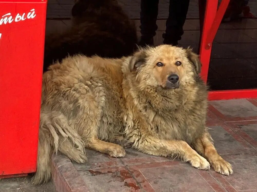     © "Интерфакс". Анастасия Антипина