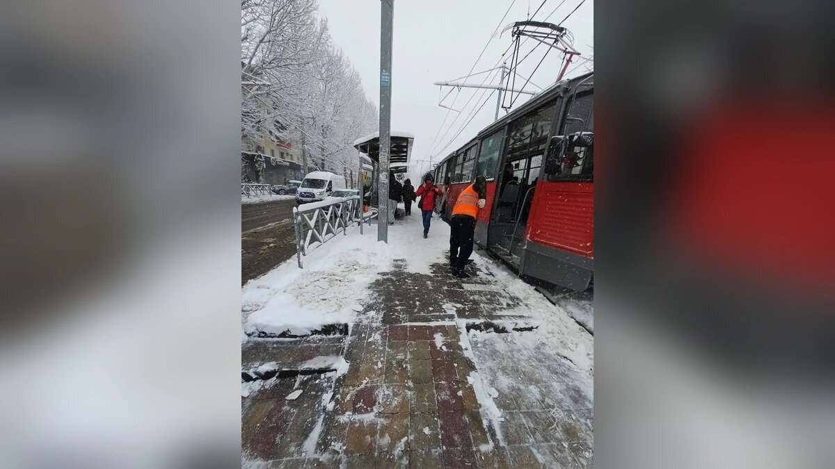    Фото t.me/emnaumov