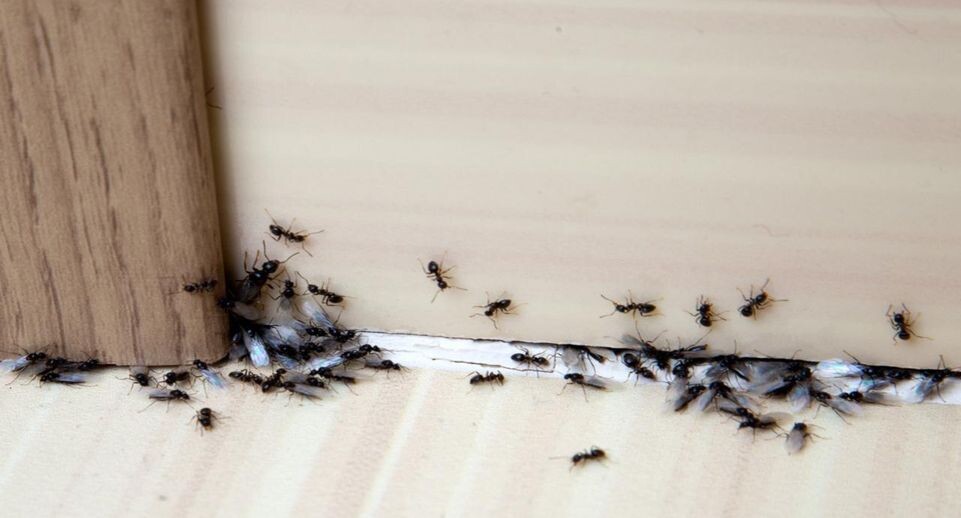    istockphoto.com/Cherkas