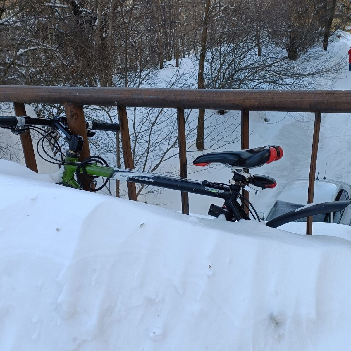    Фото: МВД Карелии