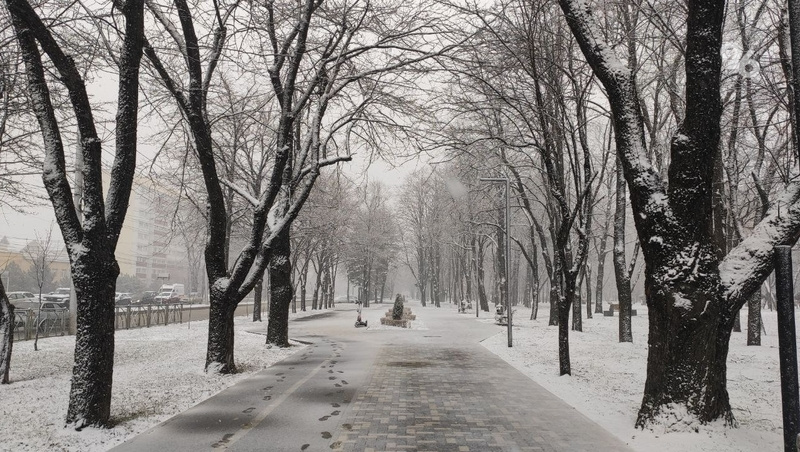    Обрывы на сетях произошли из-за налипания снега на провода Фото: ИА «Победа26»