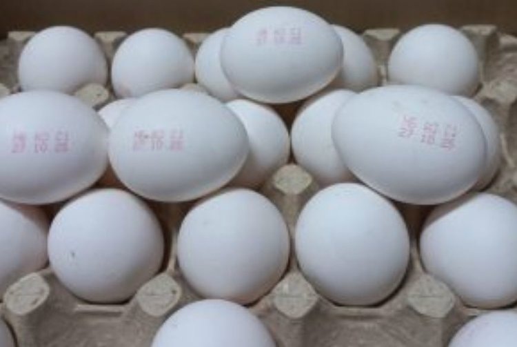    Фото: Управление Россельхознадзора по Иркутской области и Республике Бурятия