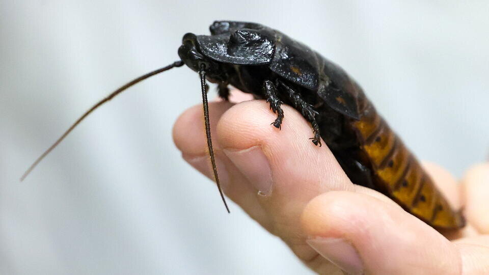 Фото: © Кирилл Кухмарь/ТАСС