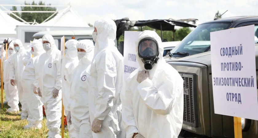    Фото: группа Управления ветеринарии Вологодской области ВКонтакте