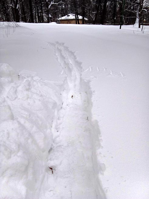 В конце траншеи надпись  черенком "МИНЫ"