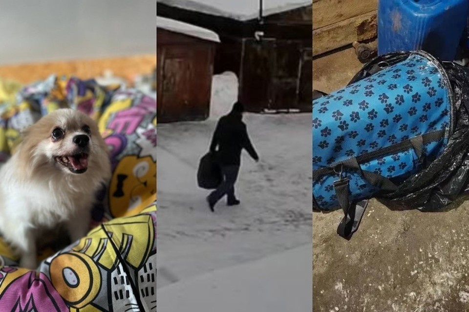    По камерам видеонаблюдения видно, как мужчина оставил сумку с собакой. Фото: предоставлено КП-Новосибирск Ксенией // кадр с зависи камеры видеонаблюдения