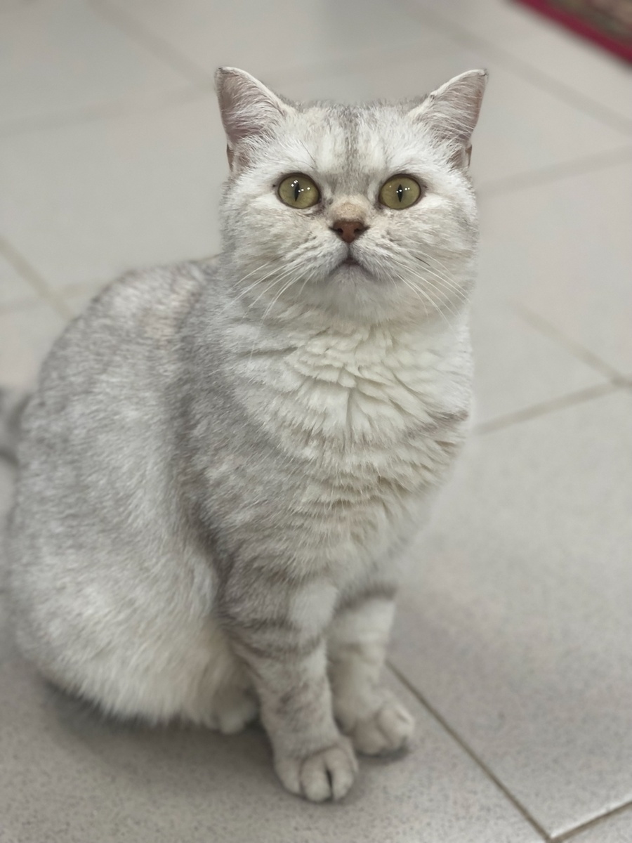 Анфиска еще в приюте