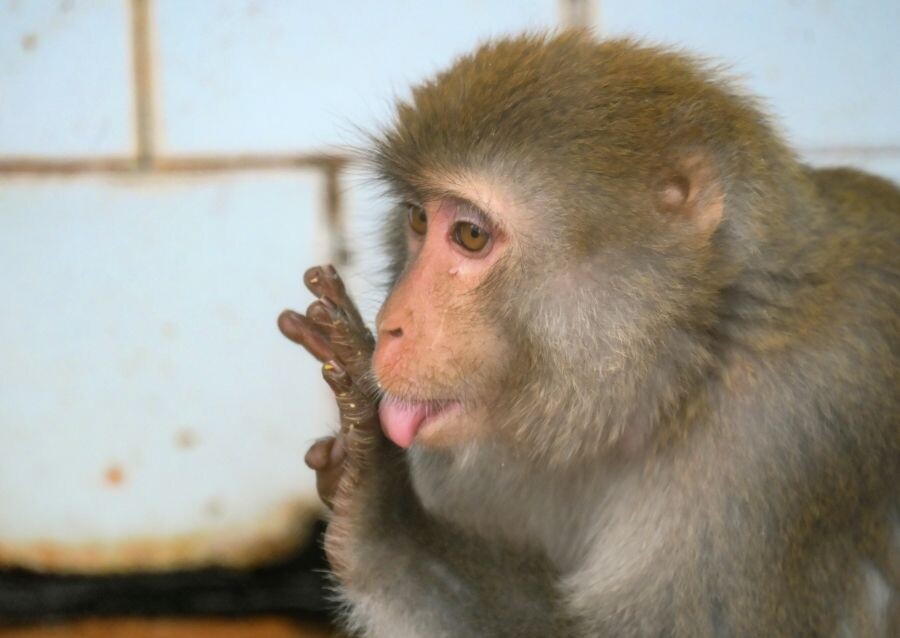     / Источник: © Илья Питалев/РИА Новости