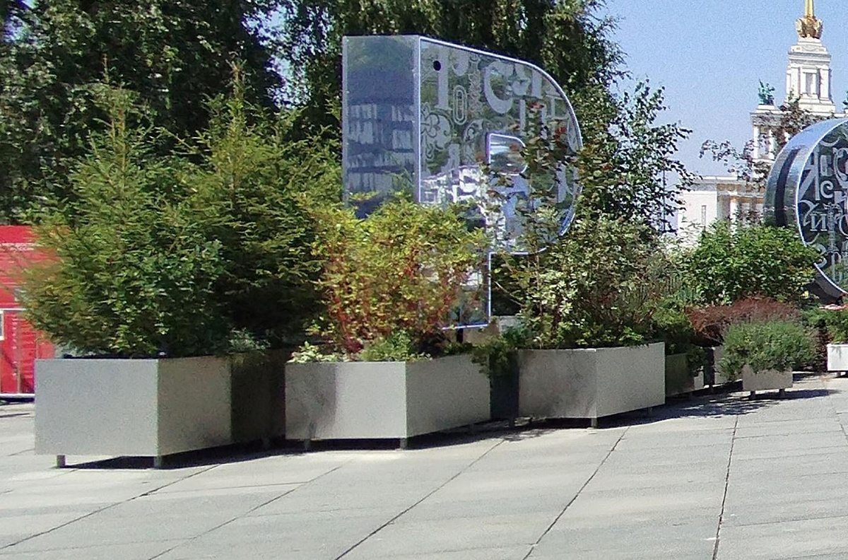 Контейнерные растения в городском ландшафте