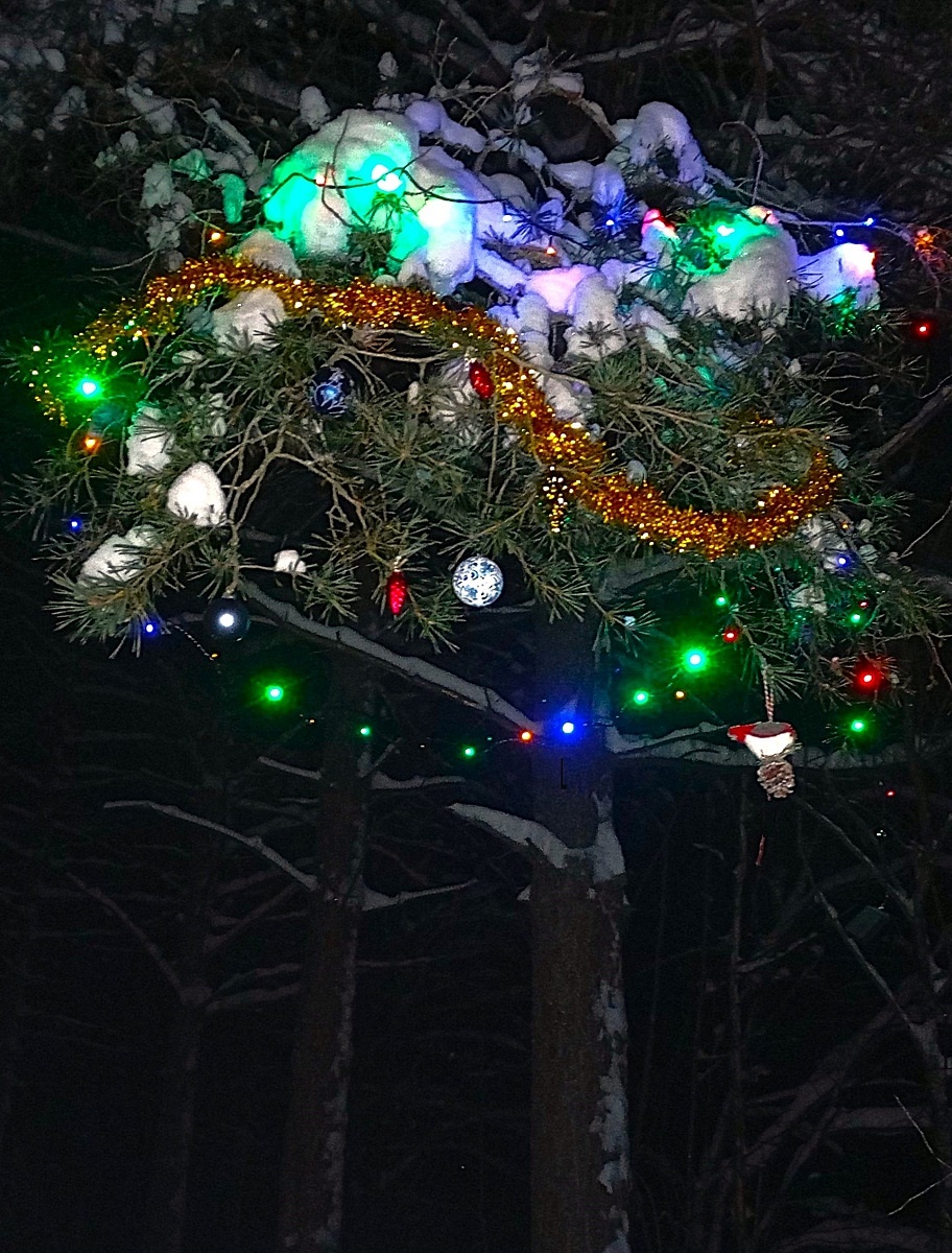 Фото автора.