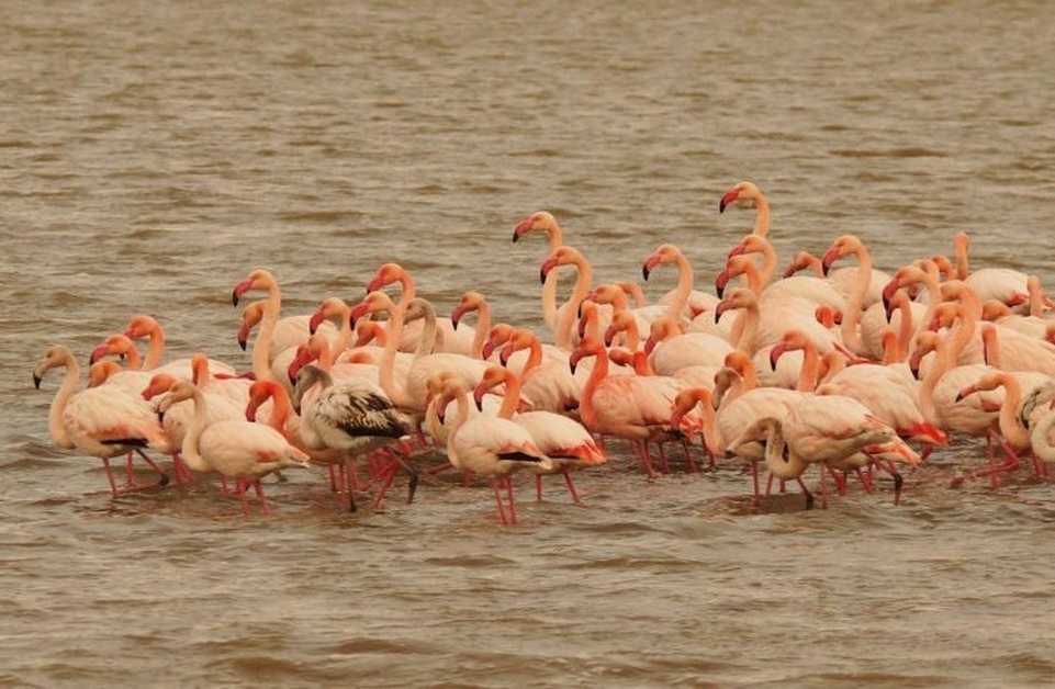    Фото: Игорь Сикорский/ВКонтакте