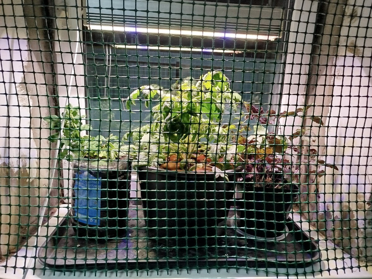 Окна маленькие у меня(, мало что помещается.