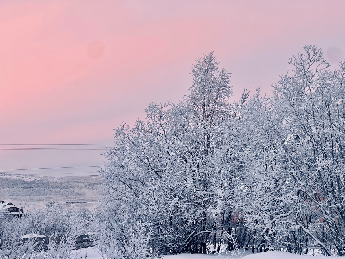 Фото сегодняшнего дня 