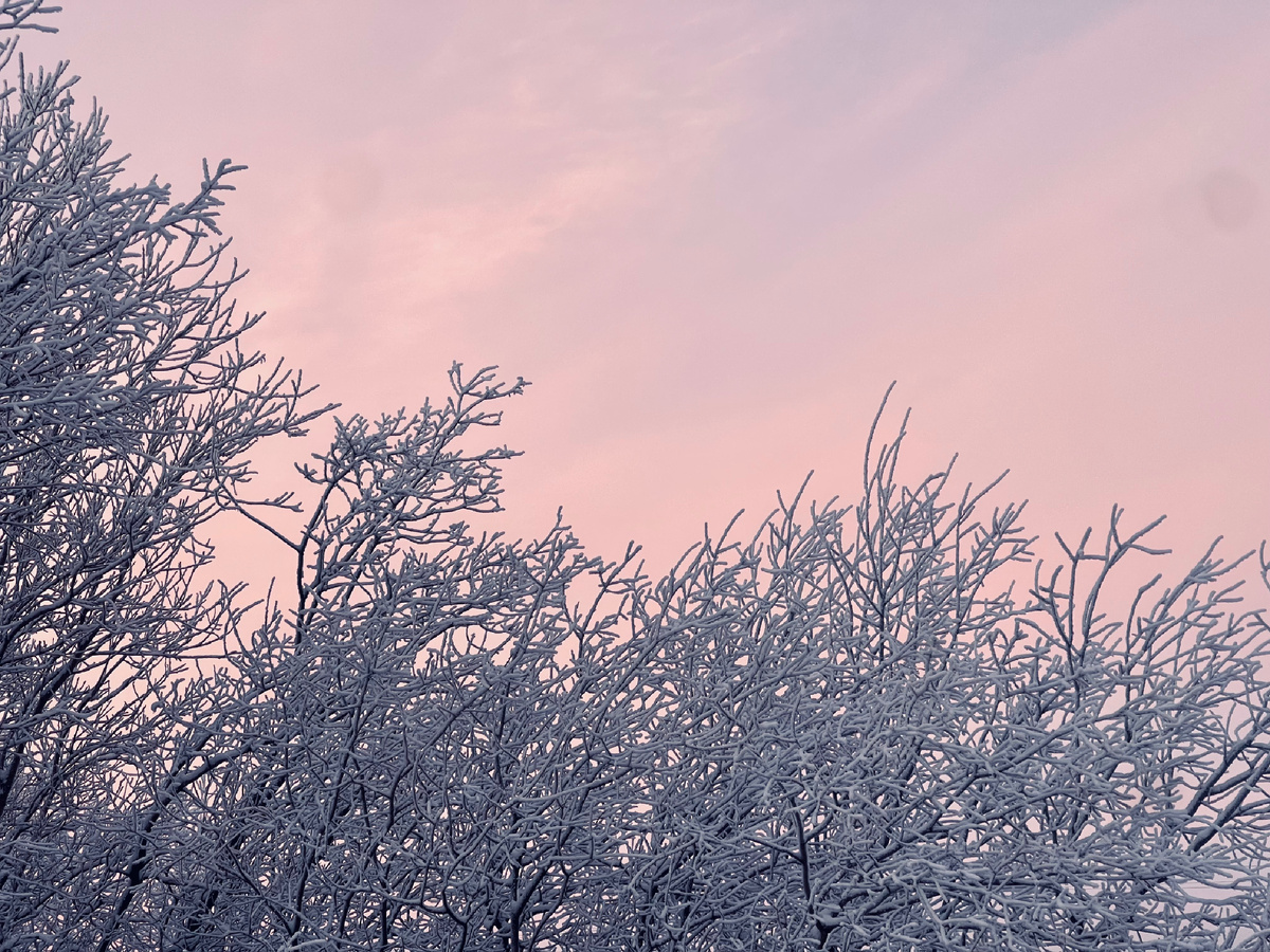 Фото сегодняшнего дня 
