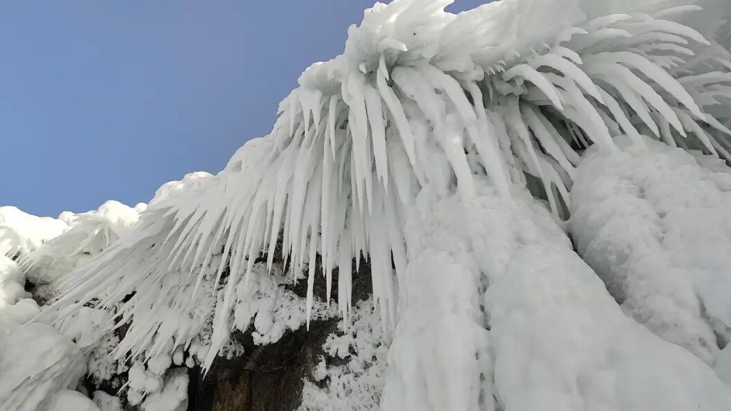    Фото: Дарья Ющенко/Царьград