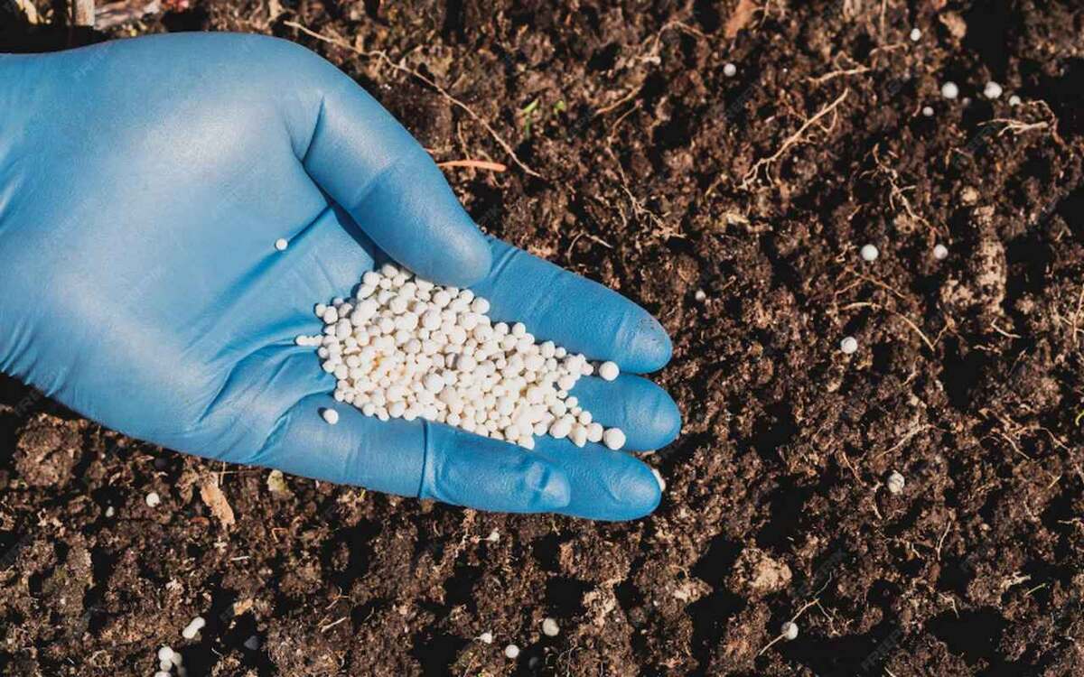    Белгородские и липецкие активы «Агроновы» закупили удобрений на 16 млрд рублей Фото – ru.freepik.com