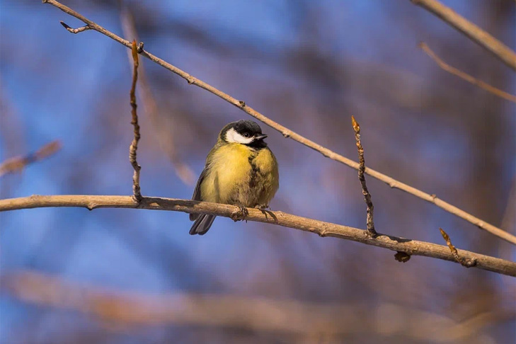    Фото Андрея Заржецкого