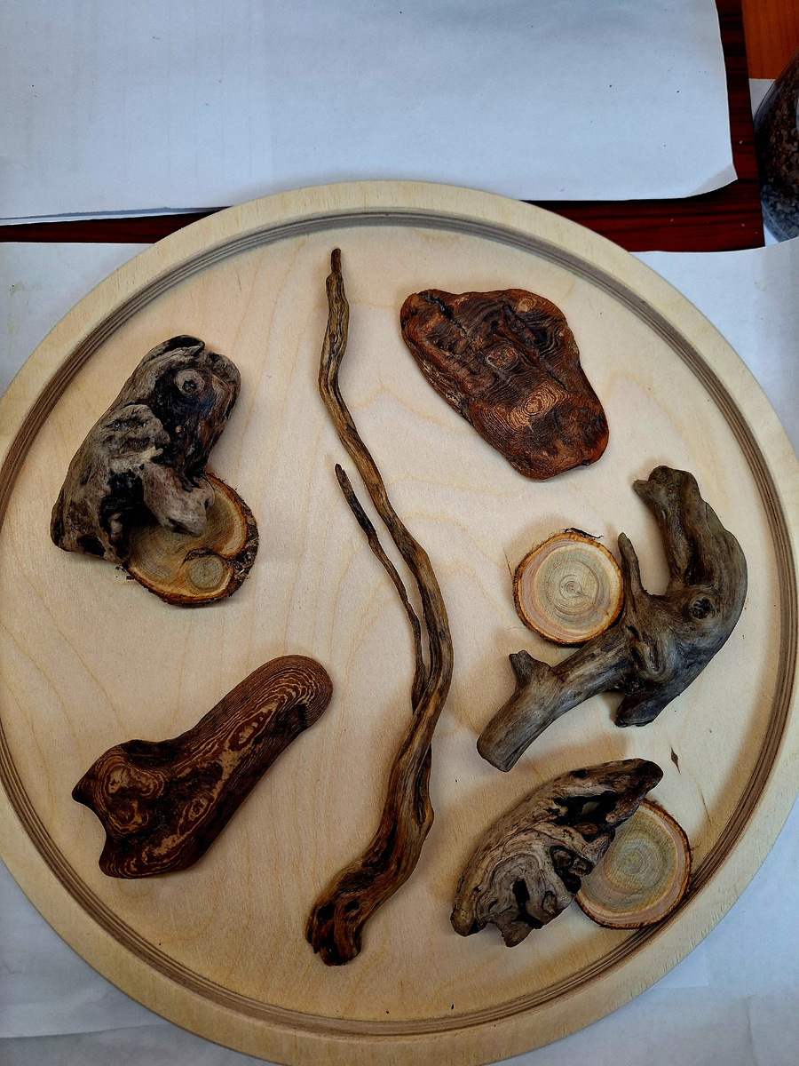 дрифтвуды с моря.