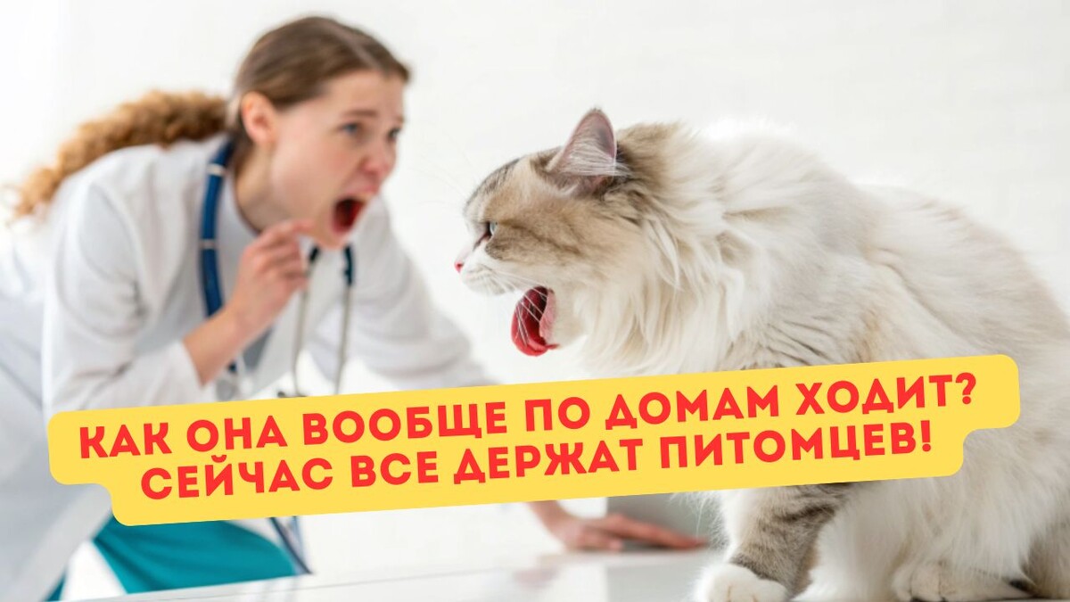 Это ведь её профессиональный риск, а не моя вина