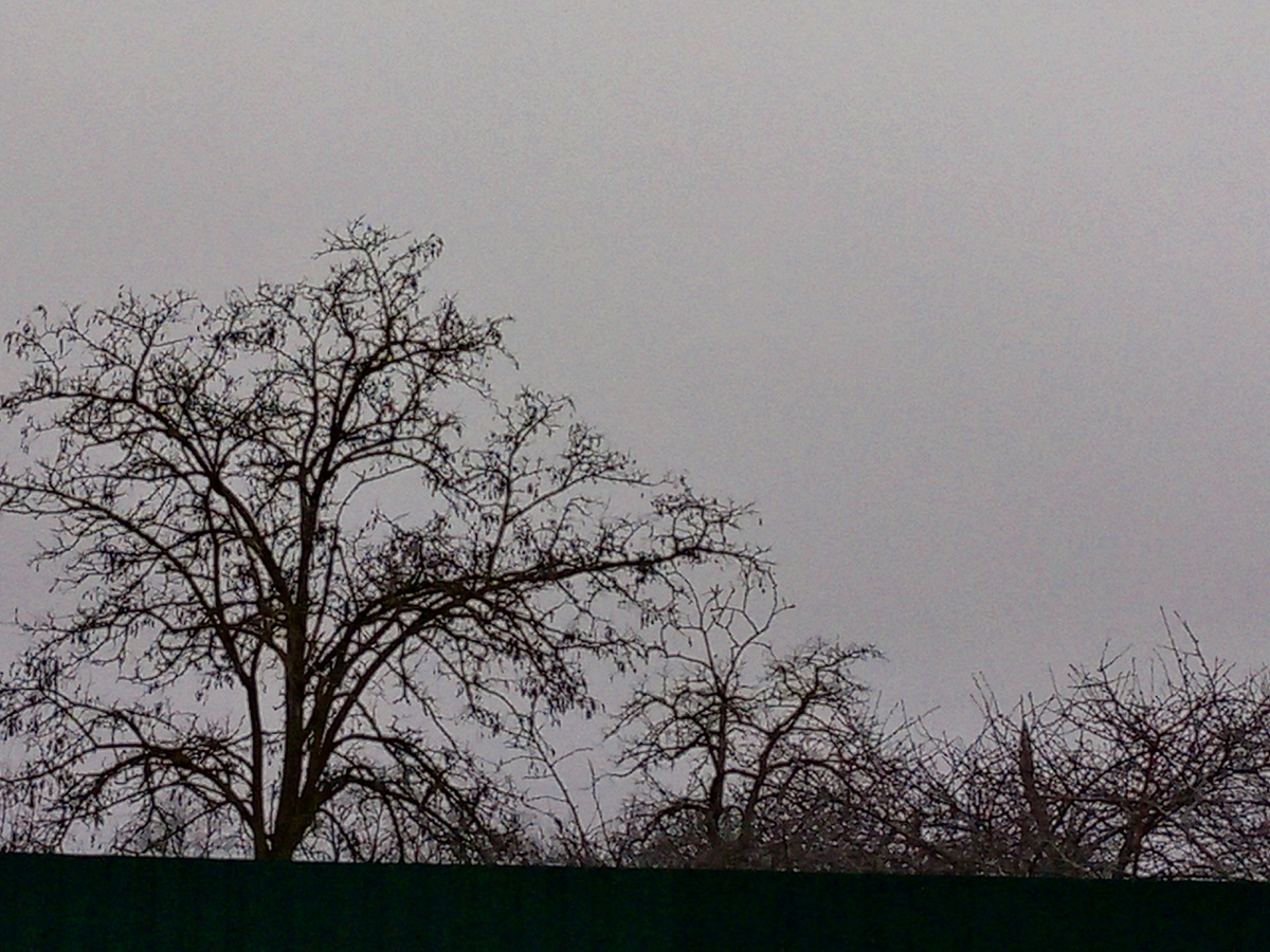 Все серое. Неужели мы живем на юге.