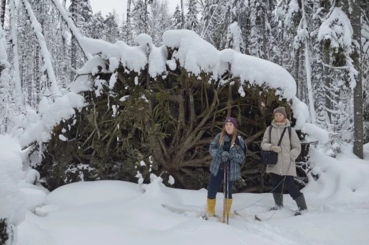    В заповеднике Тверской области пересчитали птиц