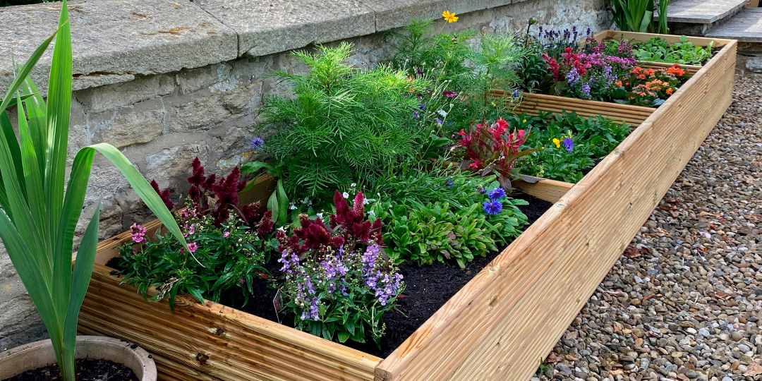 Планируем контейнерный сад на участке. Какие цветы для него подойдут?