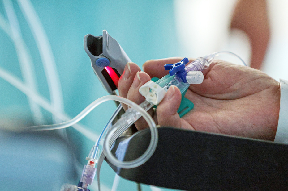    Сергей Булкин/NEWS.ru