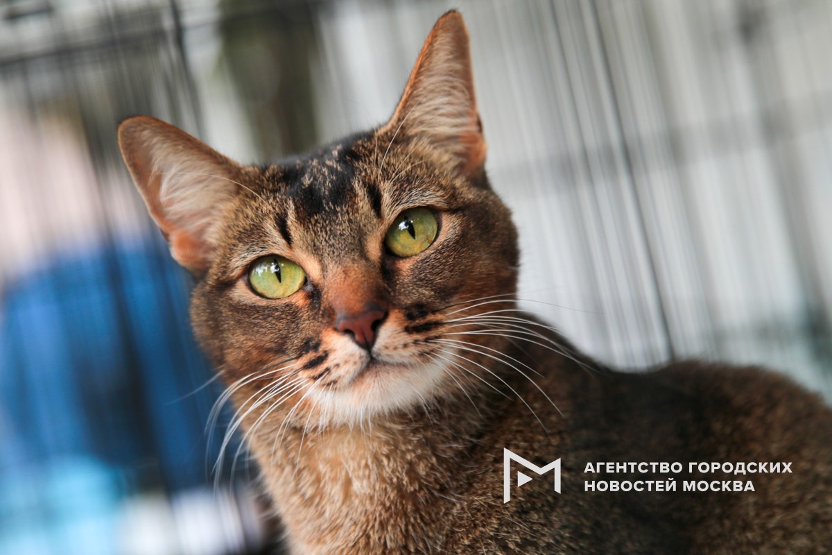 Фотограф: Василий Кузьмичёнок