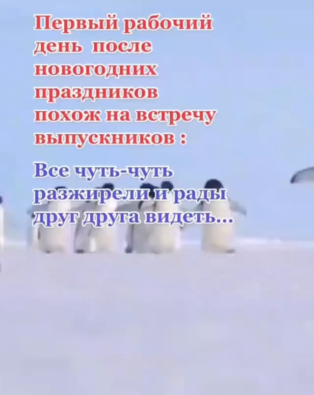 Картинка из интернета 