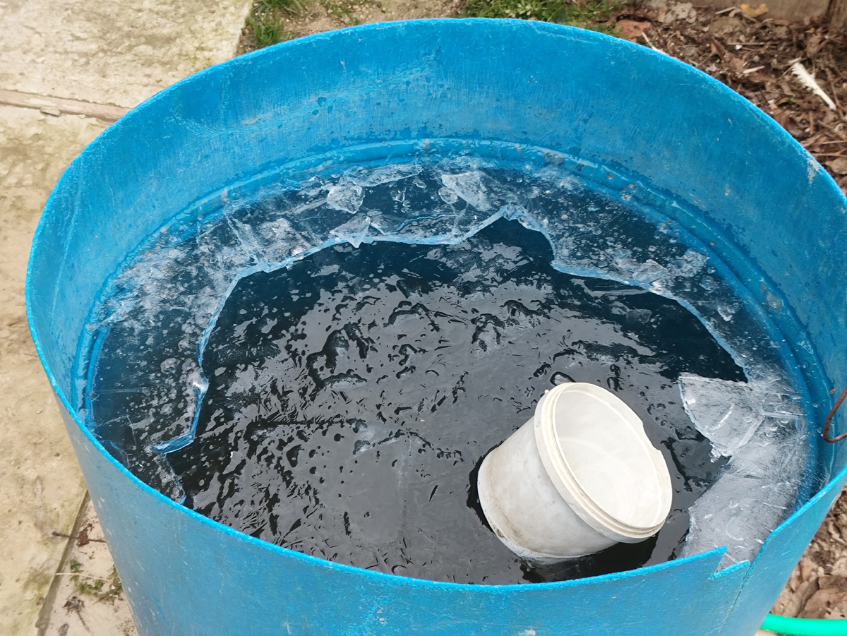 Это я уже вычерпала птицам.