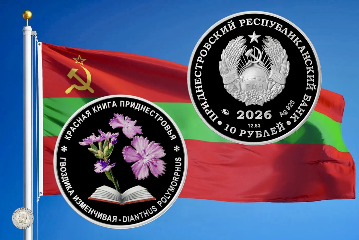 10 рублей 2026 года «Гвоздика изменчивая» серии «Красная книга Приднестровья»