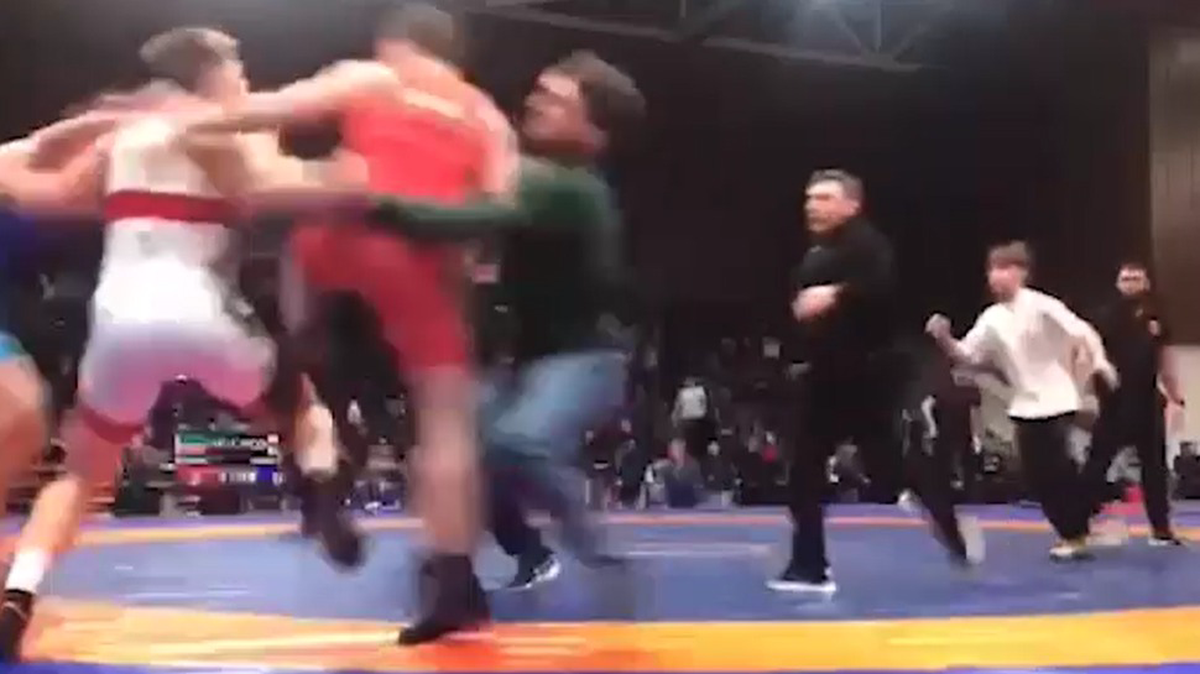    Фото: скриншот / Mash Gor / Telegram