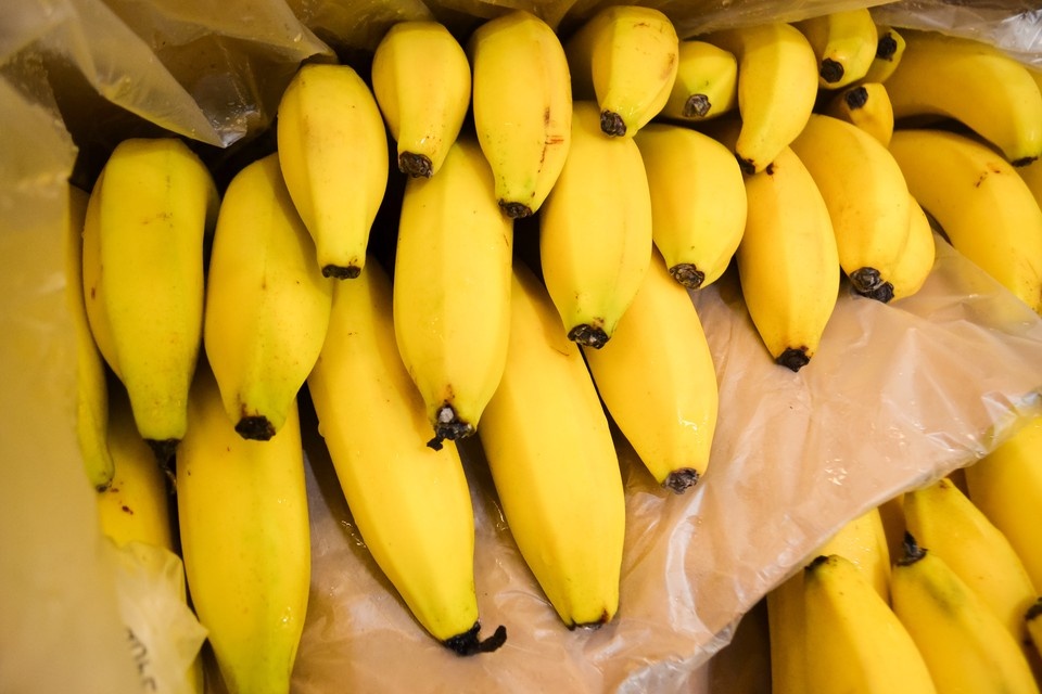    Более миллиона тонн фруктов ввезли в Россию через порт Петербурга. Фото: Опарин Даниил