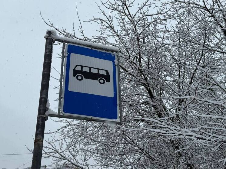     На маршруте № 258 работают 10 автобусов в будни. Фото: архив МК в Питере