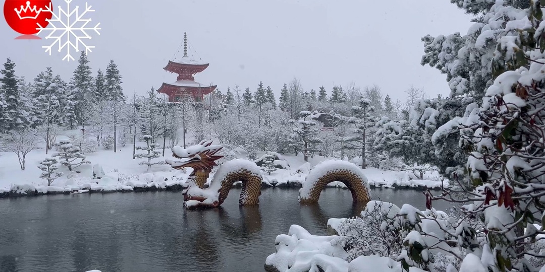 😍Парк Галицкого погружение в зимнюю сказку.