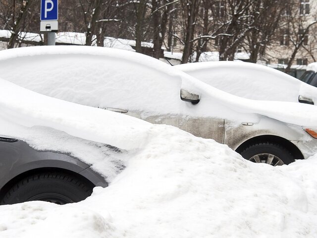    Фото: Москва 24/Александр Авилов