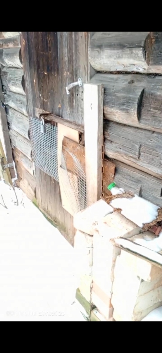     Фото: "Зоозащита". В таких условиях жили собаки