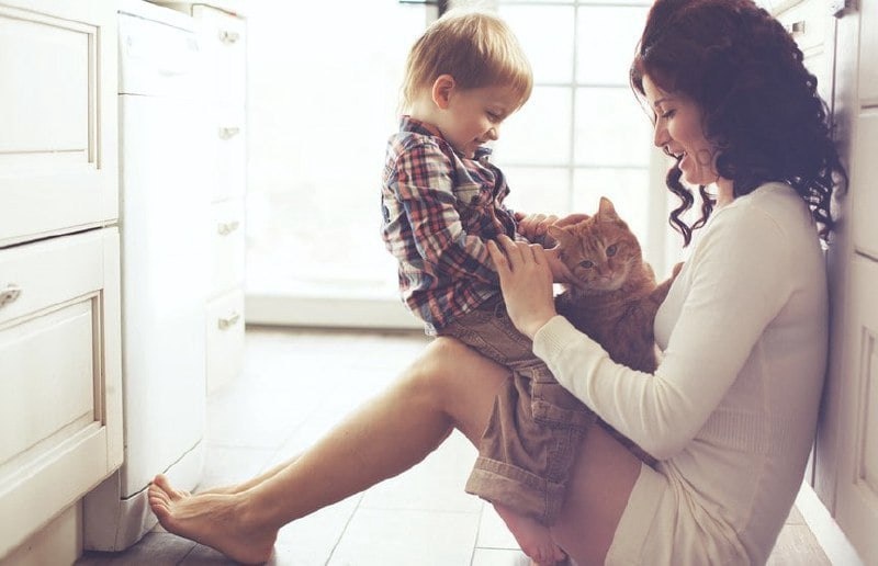Как подружить ребенка с кошкой, чтобы никто не пострадал