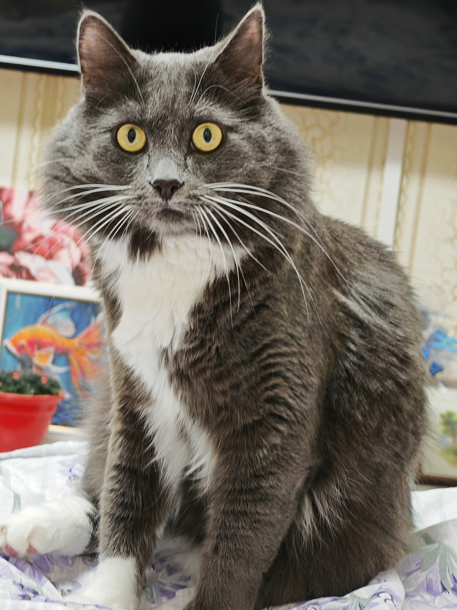 Фото автора канала.