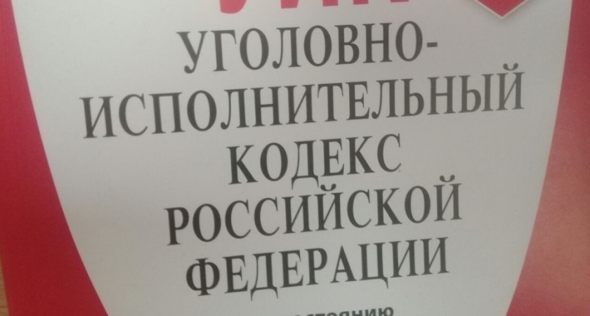    Председатель СК России Александр Бастрыкин запросил доклад о ходе расследования уголовного дела по статье 213 УК РФ (хулиганство) и установленных обстоятельствах. Алексей СЕРГУНИН