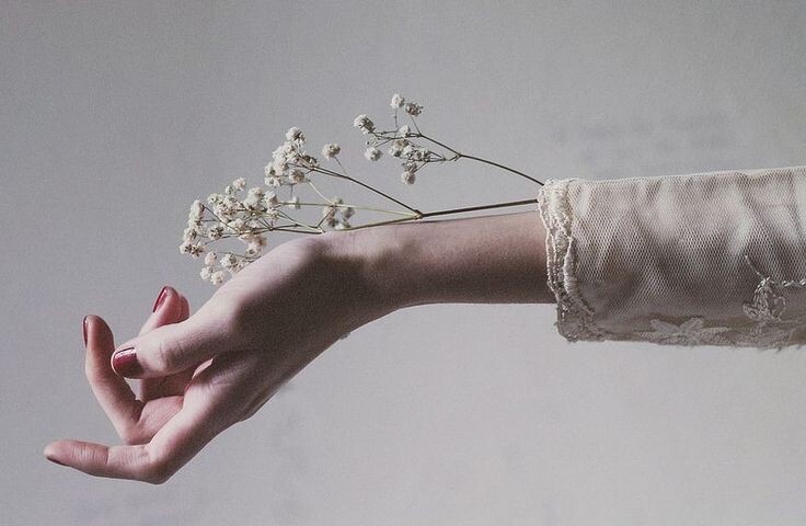 Фото из Интернета 