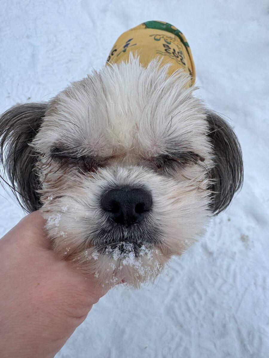 Наша милая Нэнси