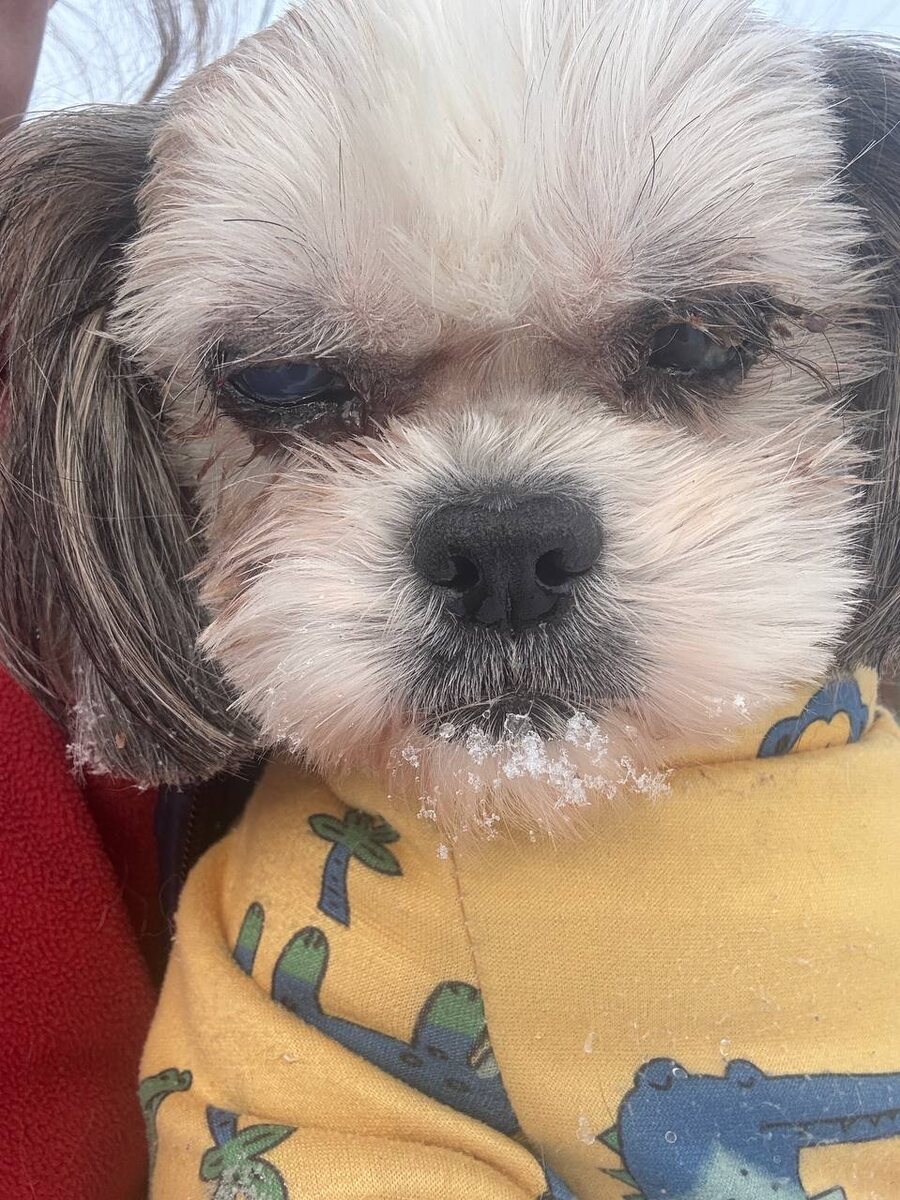 Воспаленный помутневший глазик