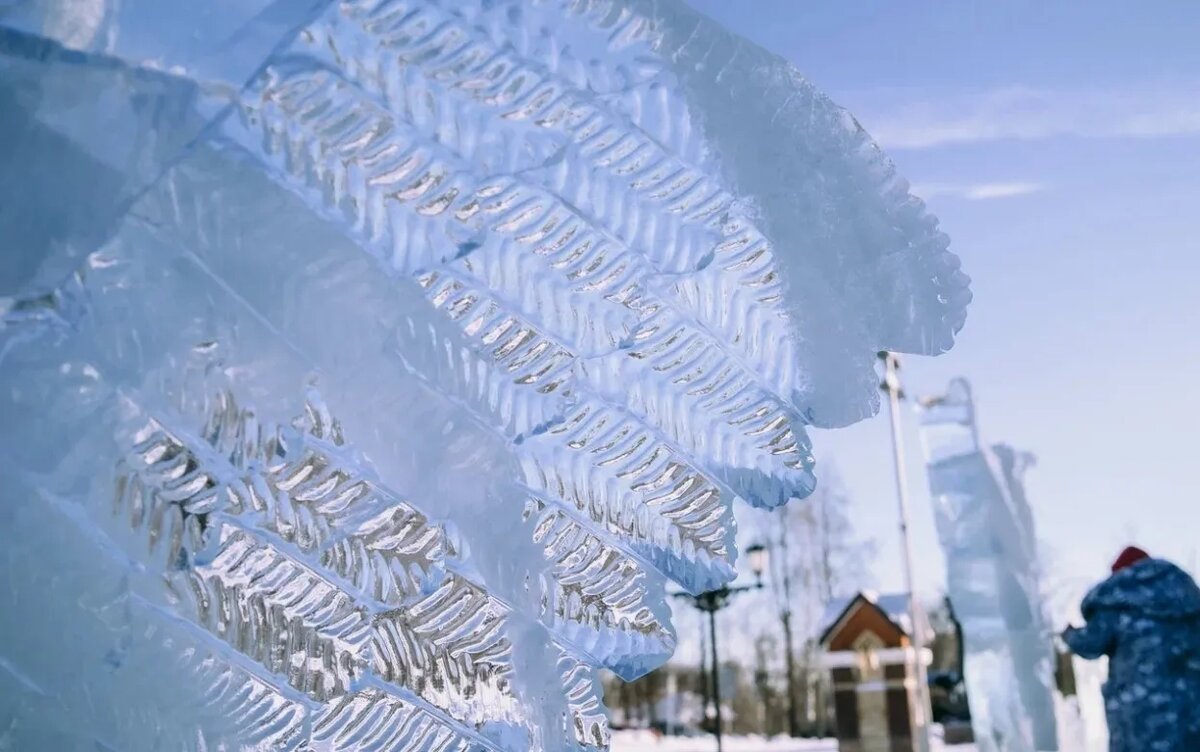    Главные новости Ижевска на 12 января: старт ледового фестиваля и первый случай бешенства